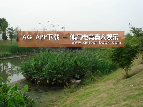 案例展示四(图1)