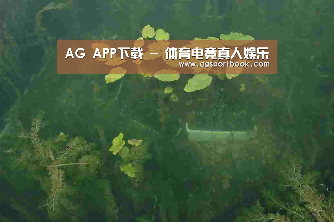 案例展示三(图1)