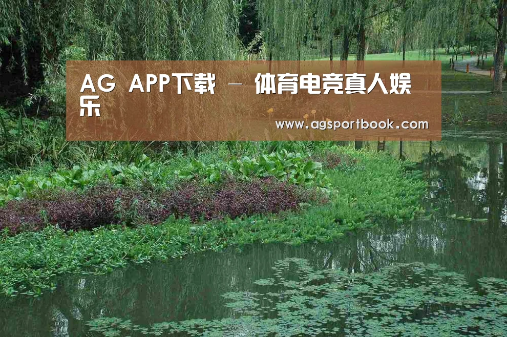 案例展示一(图1)