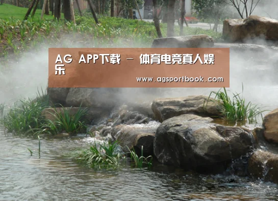 案例展示五(图1)