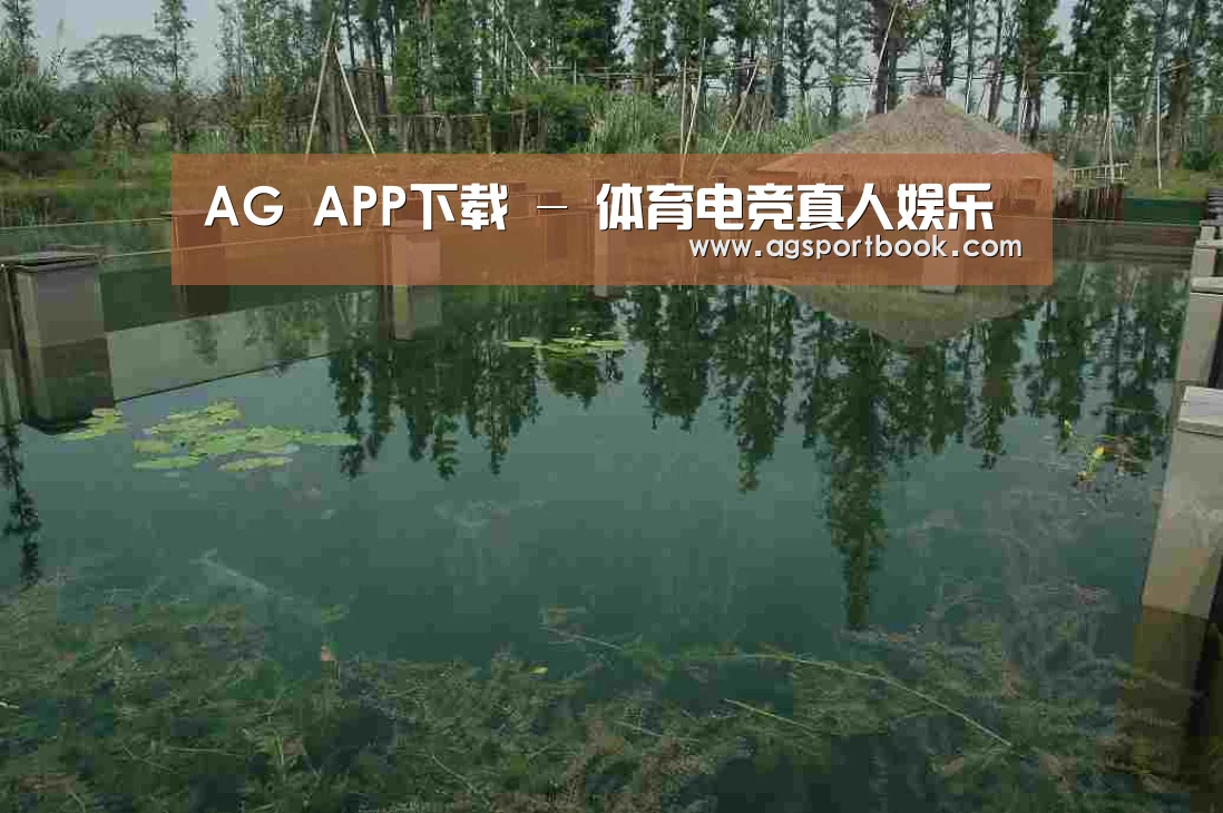 案例展示二(图1)
