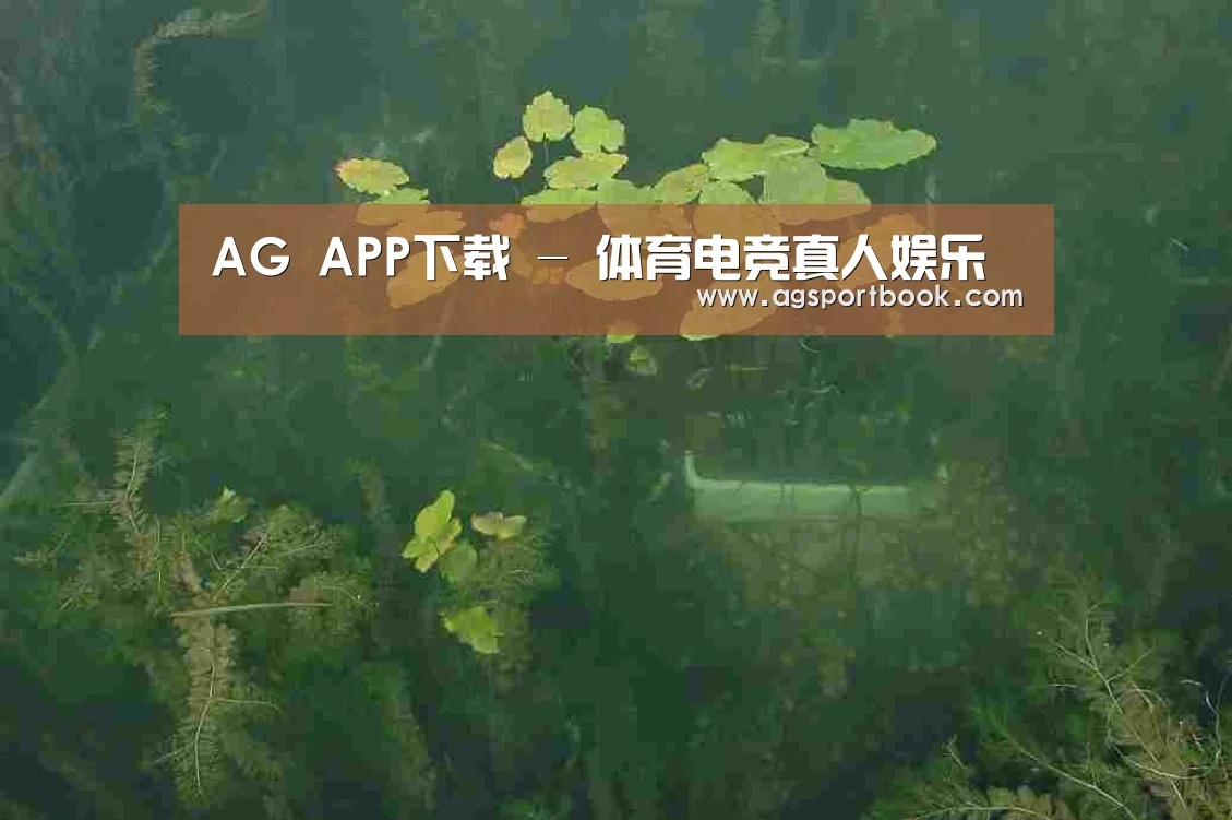 案例展示三