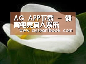 产品名称七