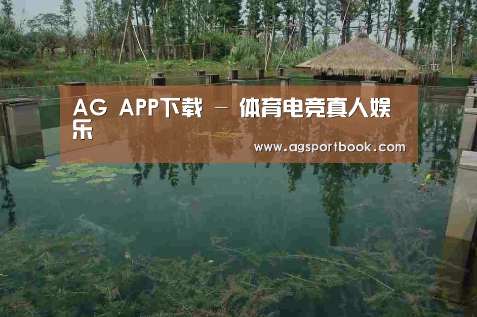 案例展示二
