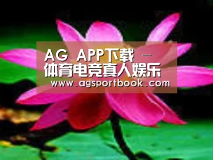 产品名称五