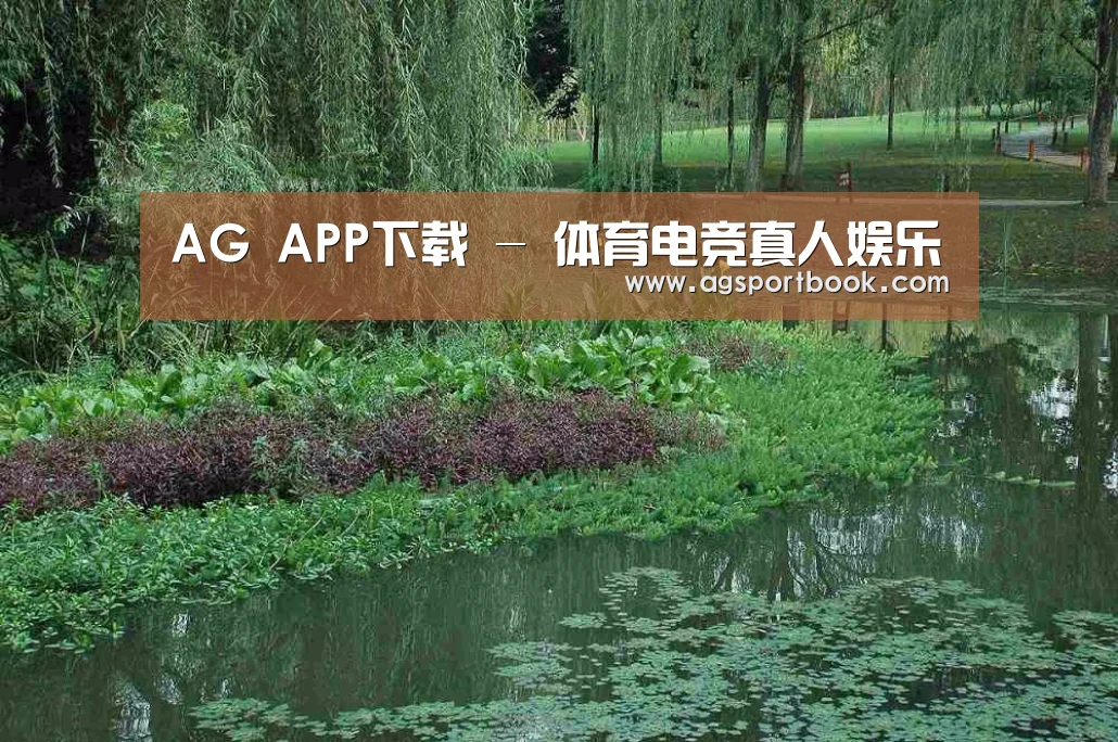 案例展示一