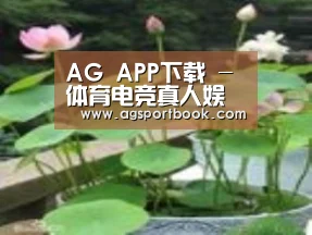 产品名称一