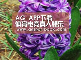 产品名称八