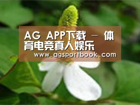 产品名称三