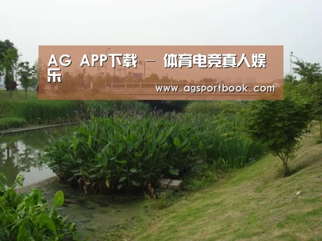 案例展示四