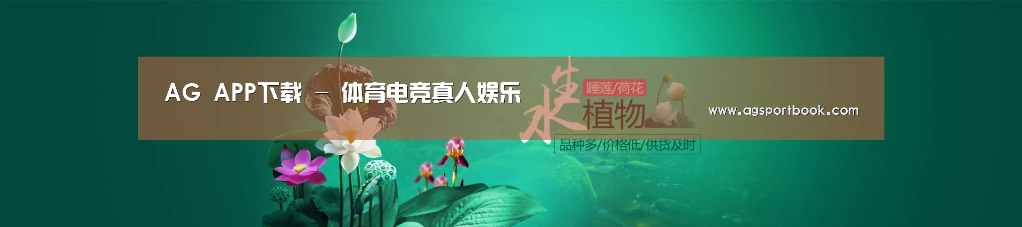 鲜花水草花卉网站模板