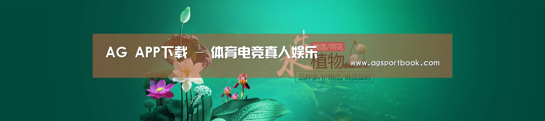 鲜花水草花卉网站模板
