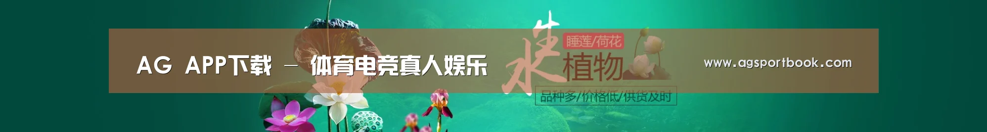 鲜花水草花卉网站模板