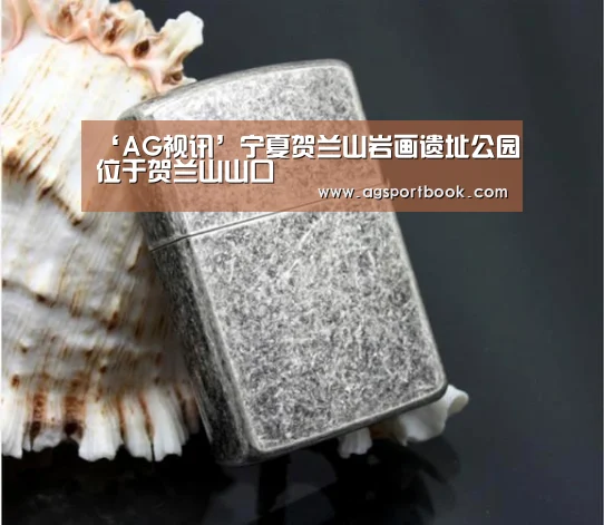 ‘AG视讯’宁夏贺兰山岩画遗址公园位于贺兰山山口(图2) AG视讯
