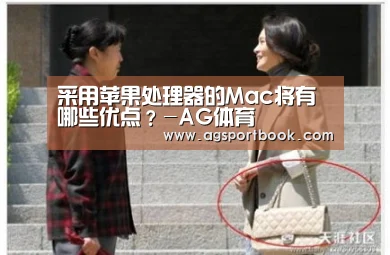 采用苹果处理器的Mac将有哪些优点?-AG体育(图3) AG滚球