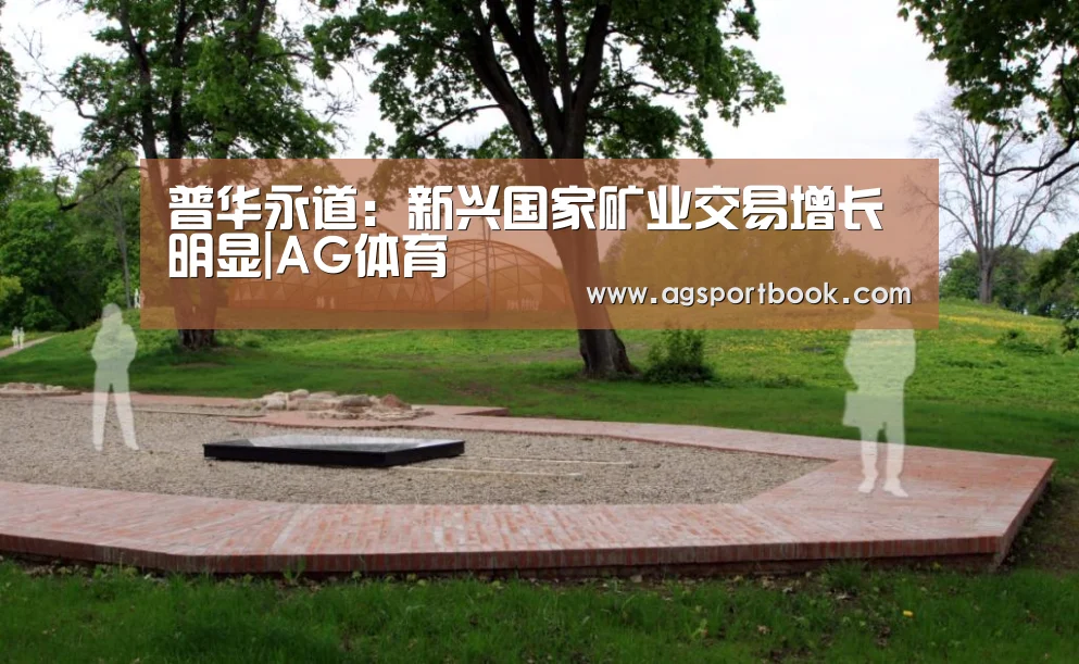 普华永道:新兴国家矿业交易增长明显|AG体育(图2) AG体育